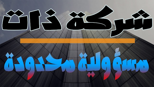 شركة ذات المسؤولية المحدودة: "تعريفها وخصائصها"