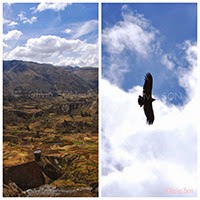 colca canyon, peru