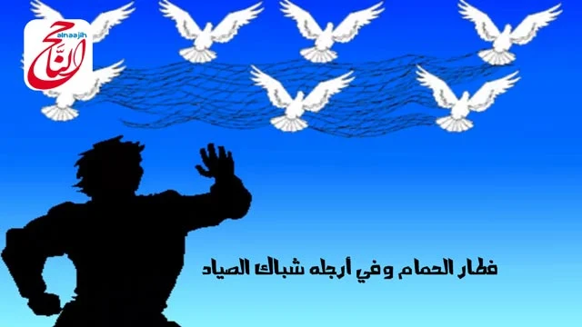 قصص الحيوان قصة الحمامة المطوقة قصة مصورة و فيديو ومكتوبة و PDF