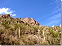 Tucson Sabino Canyon 040 Tucson Sabino Canyon 040