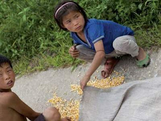 children pick up the scattered corn grains