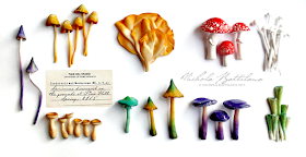 Fairy Mushrooms - Nichola Battilana