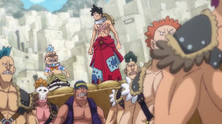 ワンピースアニメ ワノ国編 | ルフィ ヒョウ五郎 | ONE PIECE Monkey D. Luffy | Hello Anime !