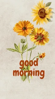 sun yellow colour flower good morning image