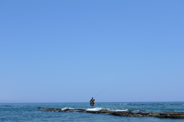 P1010877.jpg