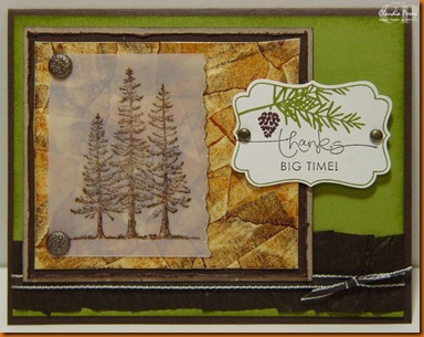 plant hope_faux leather