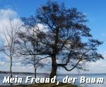 Mein Freund, der Baum...