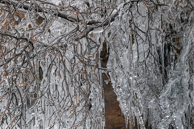 St. Mary's Falls, North Cheyenne Cañon Park