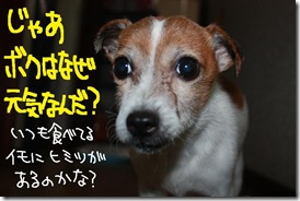 今日カズ１０１１２５　３