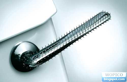 Toilet Spike