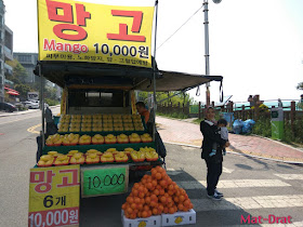 Dalmaji-gil road Tempat menarik di Busan Korea Interesting Place