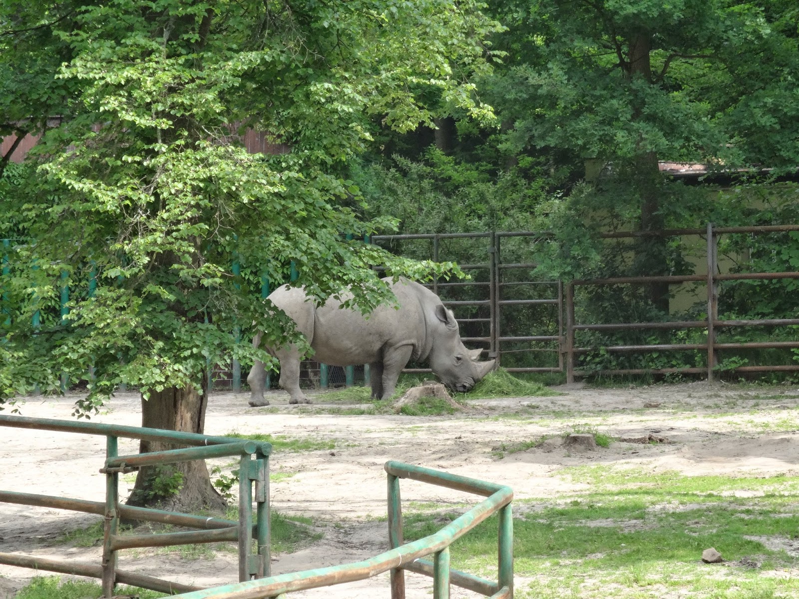 Kto mieszka w zoo, czyli sobotnia wizyta u zwierzaków