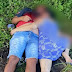 Casal é assassinado com disparos na cabeça e corpos são encontrados abraçados em canavial na Paraíba