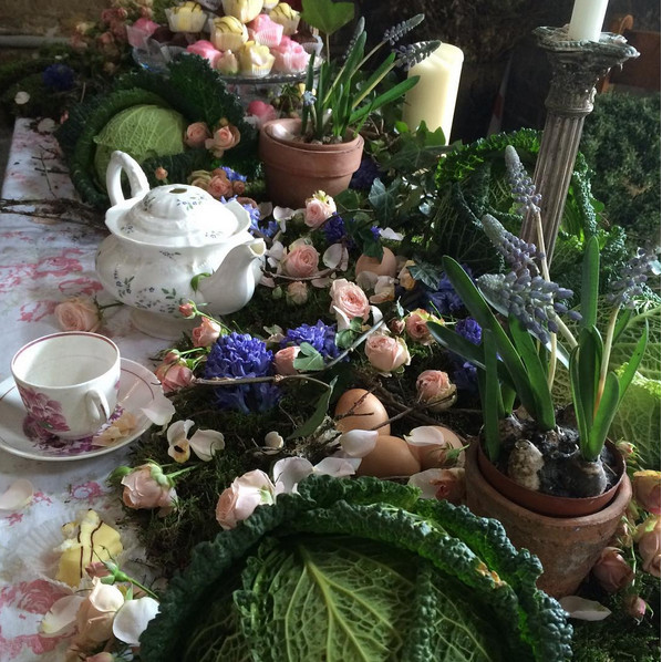 Cabbages and Roses photography