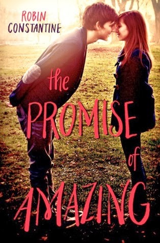 The Promise of Amazing - Robin Constantine