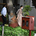 Big Breking:- Deepika Padukone arrives at NCB office in Sushant Singh drug case
