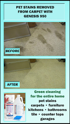 Best DIY Carpet Cleaning Solution