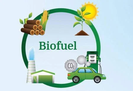 Biofuels as Alternative Sources of Energy