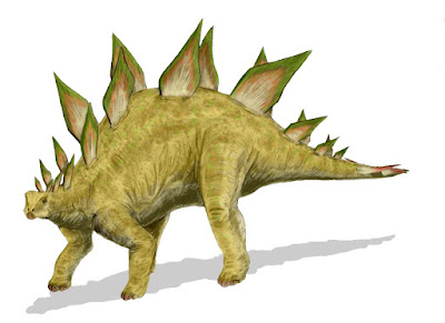 ستيجوصورس 