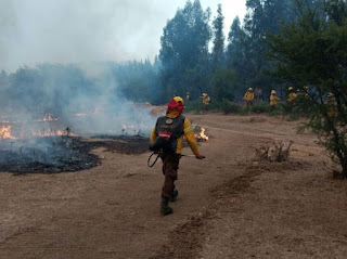 @Ejercito_Chile apoya a @conaf_minagri en la extinción de incendios forestales. 