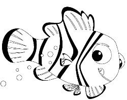 Desenhos do Nemo para colorir