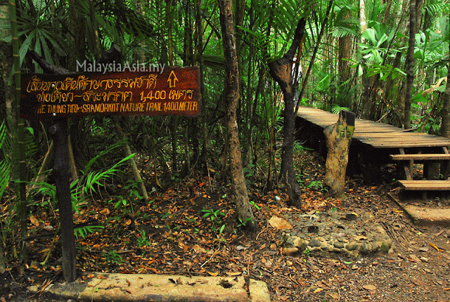 Hiking the Emerald Pool in Krabi