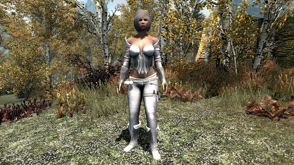 Custom armor for The Elder Scrolls V Skyrim