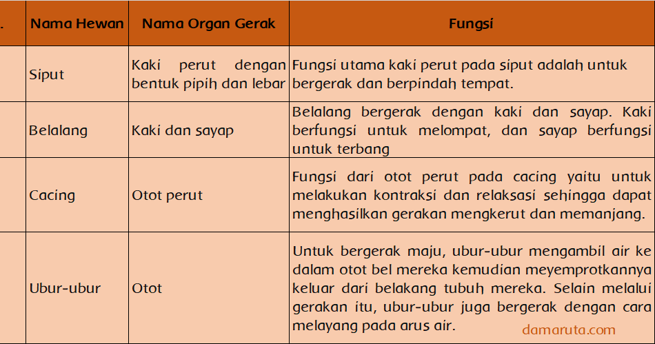  Ciri  ciri  Hewan  Avertebrata  Halaman 43 BELAJAR 