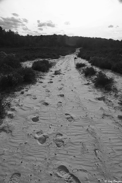 Vallée chaude, Trois Pignons, Fontainebleau