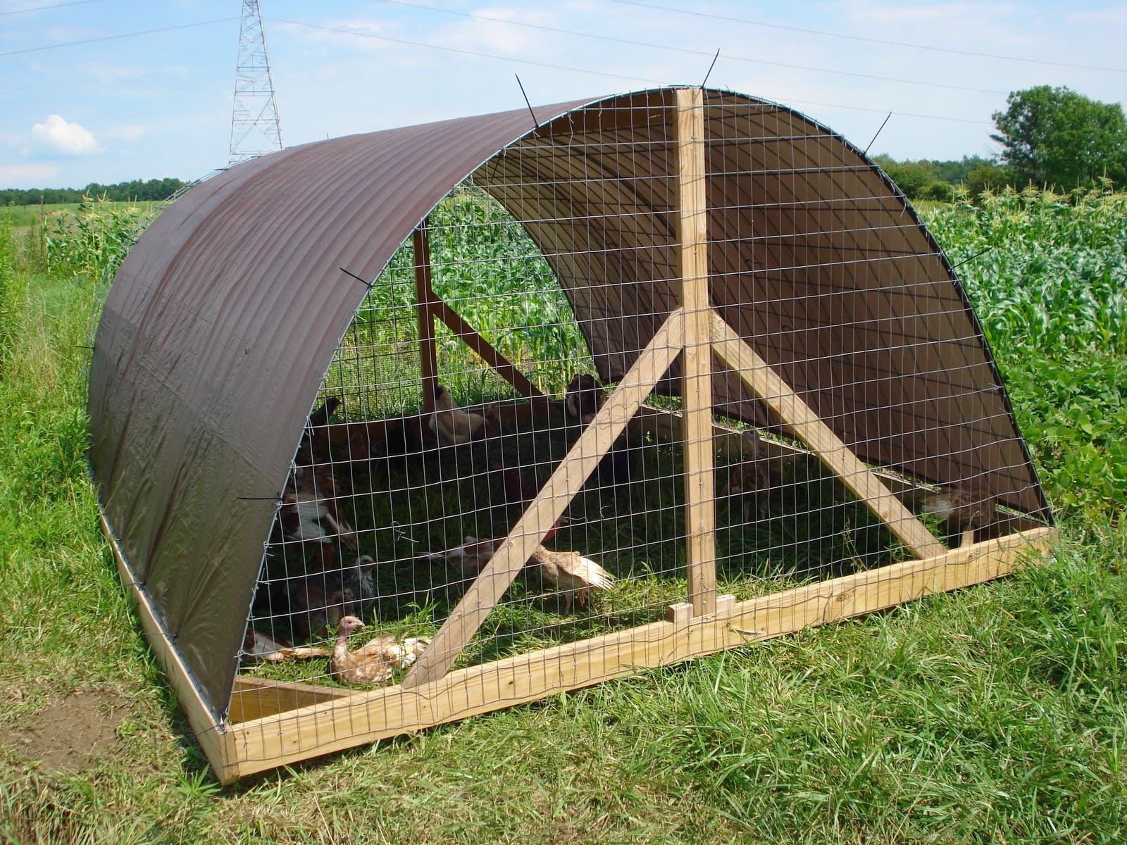 Ohiofarmgirl's Adventures In The Good Land: Hoop houses 