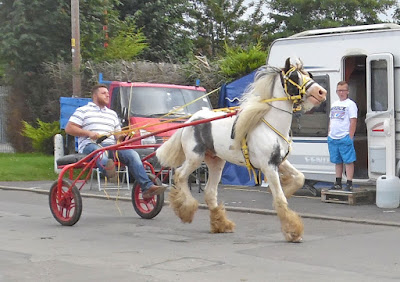 Brigg Horse Fair 2016 - picture nine on Nigel Fisher's Brigg Blog