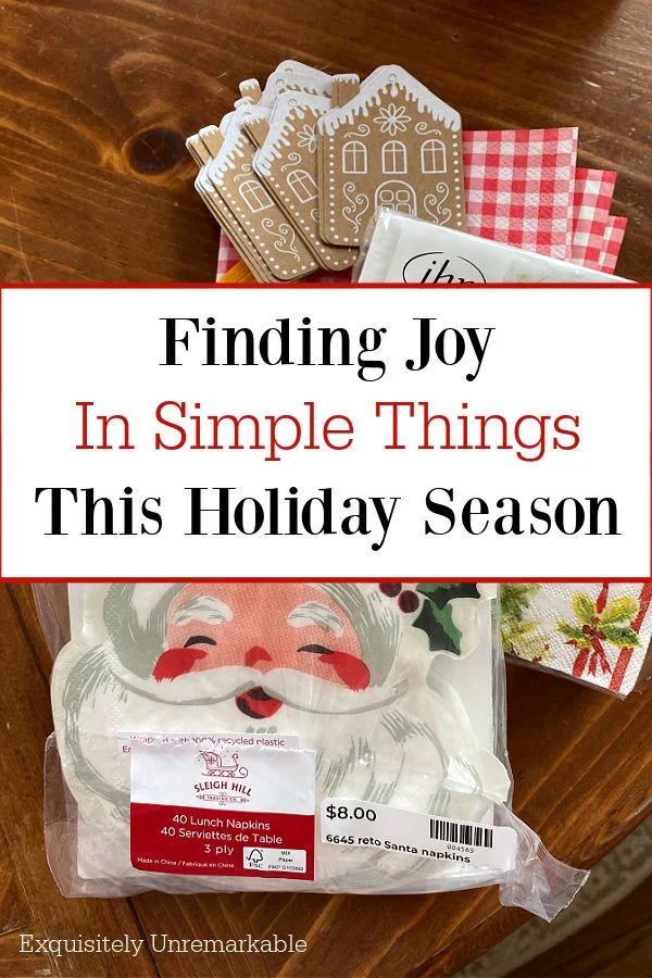 Finding Joy  In Simple Things  This Holiday Season