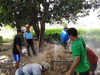 Cara Membuat Sendiri Em4 Pertanian, Perikanan, Peternakan