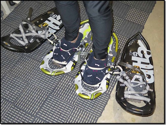 0202snowshoes2