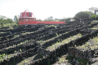 Café Portugal - PASSEIO DE JORNALISTAS nos Açores - Madalena do Pico - Museu do Pico