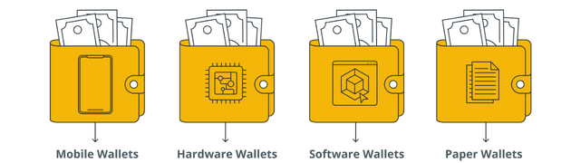 Let’s dive into the available options for BCH wallets