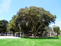 Centro Esportivo Tietê em São Paulo