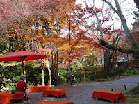 境内の鬼子母神の前辺りには野点茶席がある