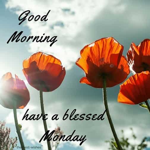 have a blessed monday