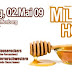 Milk & Honey 2009 / Stadthalle Aschaffenburg