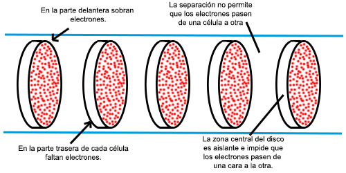 Respuestas Xix Como Producen Electricidad Las Anguilas Ciencia De Sofa