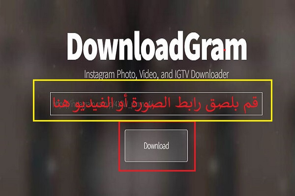 تحميل الصور والفيديوهات من انستقرام