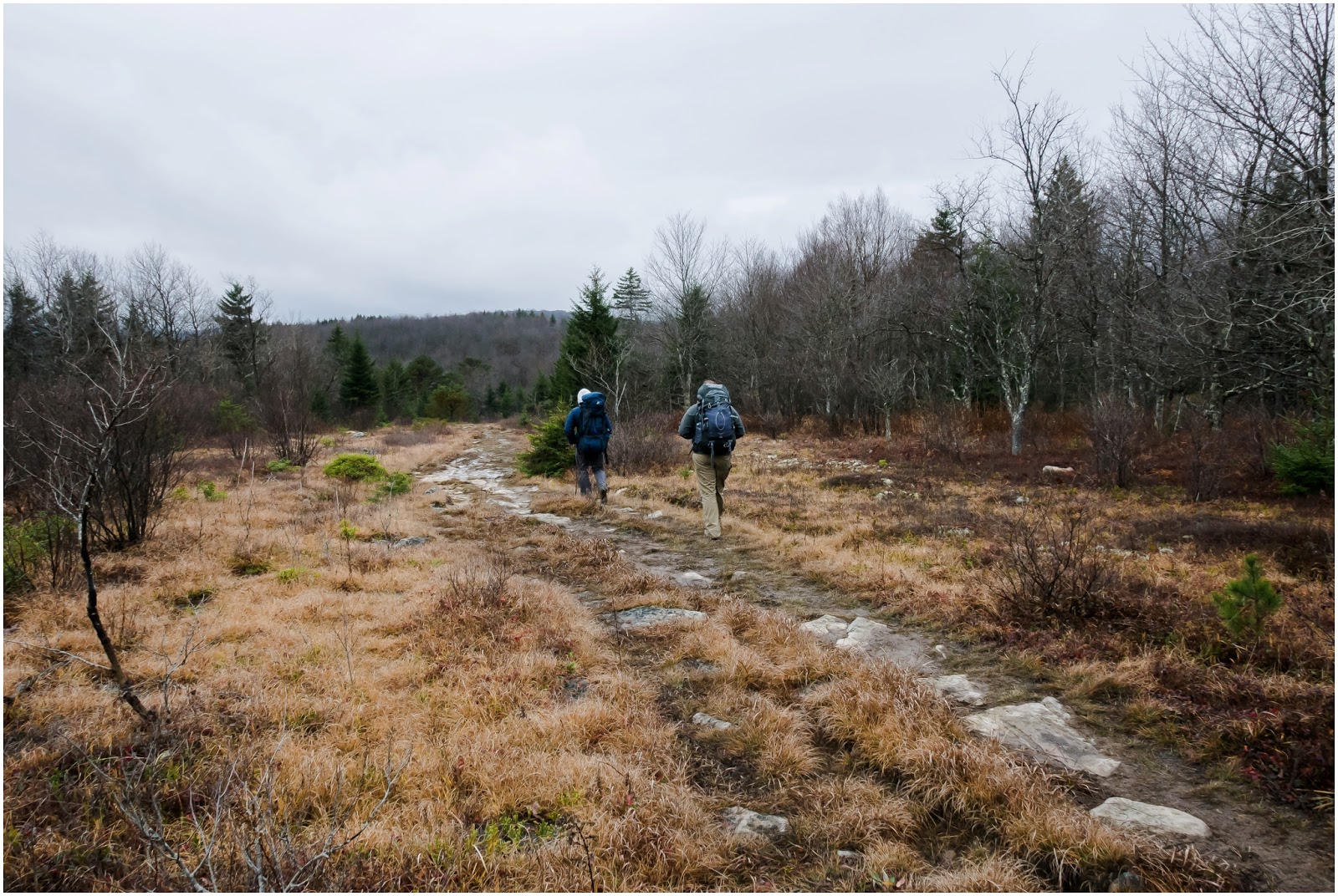 Heather Ryan Photography: Backpacking the Dolly Sods Wilderness - Backpacking Dolly SoDs 066