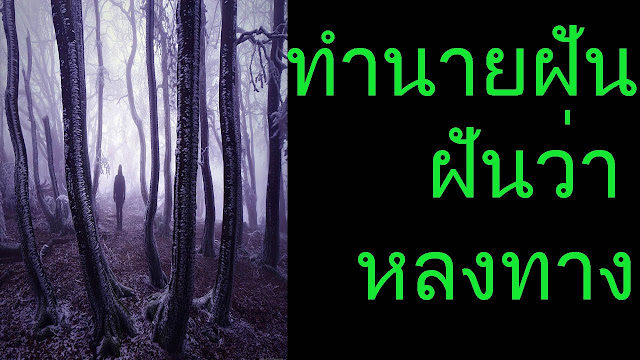 ทำนายฝัน ฝันว่าหลงป่า