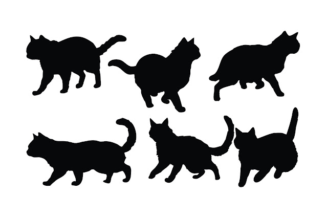 Home cat in different positions vector free download