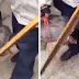 Τον δάγκωσε χελώνα στα γεννητικά όργανα και δεν τον άφηνε με τίποτα
