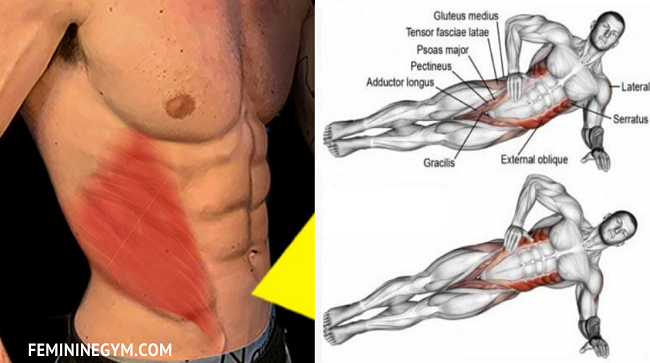 5-Exercises-to-Get-Ripped-V-cut-Obliques-Fast