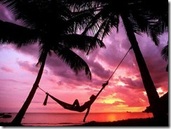 Beach View (4)