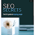 [Giveaway] Get Free SEO Report for Running WP Site