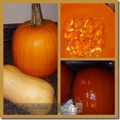 Pumpkin and Butternut Squash